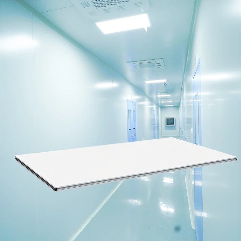 Handmade Cleanroom Rock Wool Sandwich Panel Fireproof 50mm 75mm 100mm Thick 0